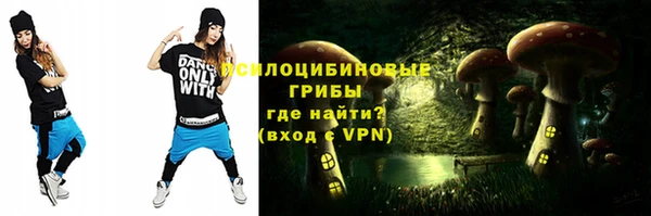 гашик Армянск