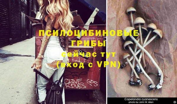 прущая мука Аркадак